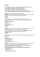 DENEME 8.pdf